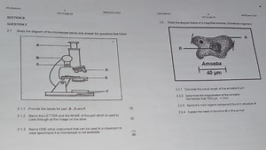Life Sciences: Microscopes and Amoeba Study (Grade 10)Questio... | Filo