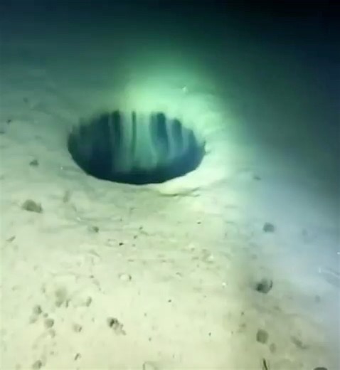 More than 80% of the ocean floor remains unexplored, and hidden in that darkness are anomalies that challenge everything we think we know 🌊🌑 “Your daily dose of UFOs, aliens, Ghost and space mysteries – Follow now!” #OceanMysteries #UnexploredOceans #DeepSeaSecrets #OceanAnomalies #UnknownWorlds #DeepOcean #HiddenTruths #UnderwaterMysteries #ScienceMystery #DarkOcean #OceanDiscovery #EarthSecrets #UnchartedWaters #BeyondScience #MysteryOfTheDeep | Anonymous Shadow