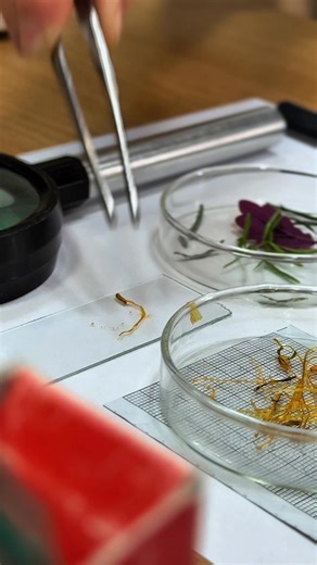 #Admitere2025, Facultatea de Agricultura USAMV Cluj-Napoca - 1-12 septembrie! 💙💚👩‍🎓🌾🚜 Sunt ultimele zile din sesiunea de admitere! Te invităm în comunitatea noastră, care te așteaptă cu programe de licență și de master potrivite pentru cariera ta de succes! Nu mai sta pe gânduri, investește cu folos în viitorul tău! Detalii: https://admitere.usamvcluj.ro/. Toate clipurile destinate admiterii: https://www.youtube.com/@usamvcluj-napoca451/shorts! | USAMV Cluj-Napoca