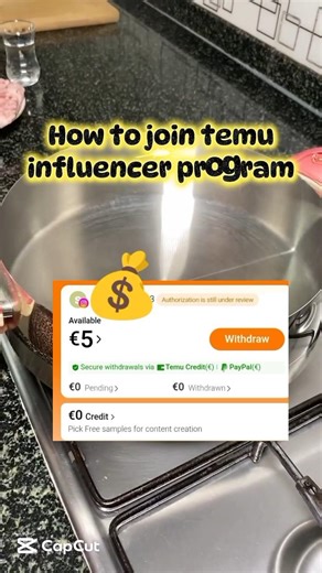 Temu influencer program #foryou #recipe #foodlovestory #cooking #food #foodpassion