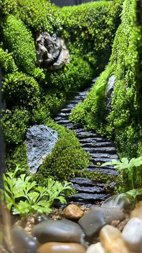 How about combining inconspicuous moss with ordinary stones to make a beautiful desktop micro-landscape #trending #reelsfb #reels #reels2023 #reelsviral #viralreels #viralpost #viralvideo #nature #glassart #decoration #nature #naturephotography #mossmicrolandscape #microlandscape #bonsaiart | The Arting