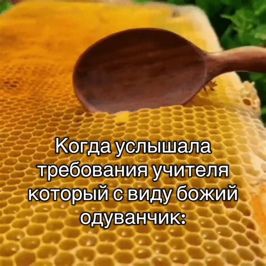Когда услышала требования учителя — реакция в мем-видео