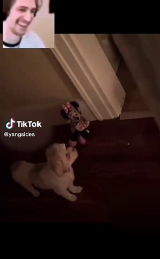 Skinwalker Disguised as a Dog? 😳