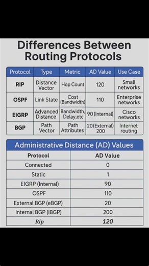 Routing Protocol Differences!!!✨