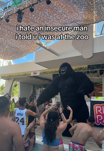 Connecting With Animals in Cancún