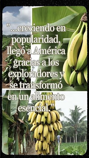 Historia y Origen del Plátano: Secretos Desvelados. #shorts