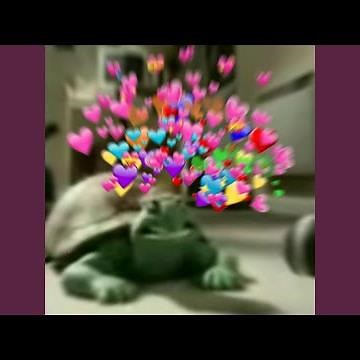 Turtle Song Persian Language 2.0