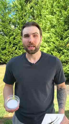 Bug Bite Treatment Guide: Simple Home Remedies