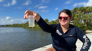 Marine Discovery Center monitoring plankton in the Indian River Lagoon