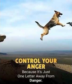 "Unleash the Power Within: Master Your Anger & Transform Your Life! 💥"#angermanagement #motivation