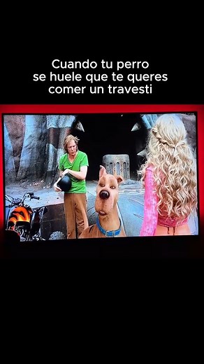 1.7M views · 37K reactions | Scooby Doo 2 藍 #parati #risas #Cine #humor #que #ypfッ #memes #movie #paratiiiiiiiiiiiiiiiiiiiiiiiiiiiiiii #Película | Alerta2s | Facebook