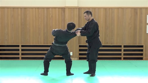 Bujinkan Budo Taijutsu Great Combat System of Masaaki Hatsumi Vol.2 Throws & Joint Locks