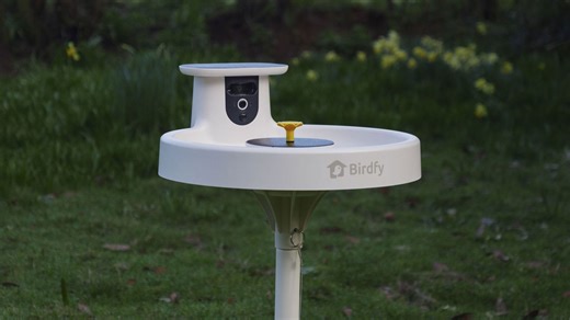 Birdfy Bird Bath Pro review: A fun new way to watch your garden birdlife