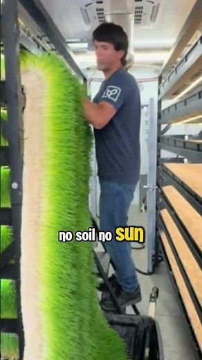 How to Grow Barley Grass in 6 Days (No Soil, No Sun!) 🌿 #barleygrass #hydroponics