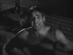 Hey, Stella! Hey, Stellaaa! -Marlon Brando as Stanley Kowalski in A Streetcar Named Desire http://www.classicmoviehub.com/film/a-streetcar-named-desire-1951/ | Classic Movie Hub