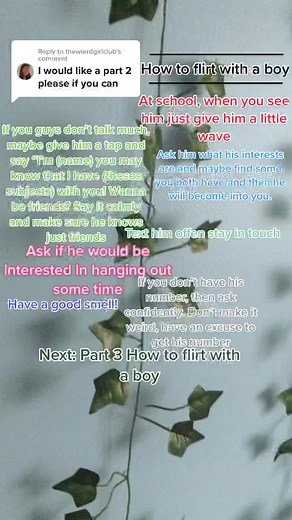 Random things on TikTok