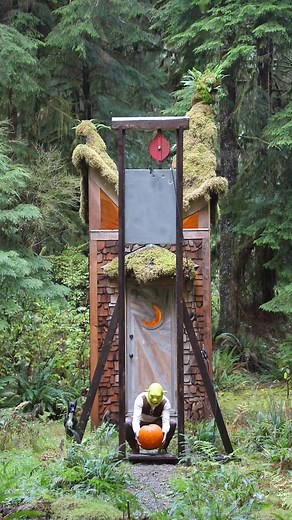 Get outta my swamp! | Jacob Witzling