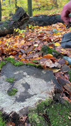 1.9K views | Survival Skills : Best idea for steel wool FIRESTARTER...