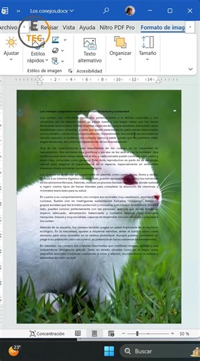 Aprende paso a paso a colocar una imagen como fondo en tus documentos de Word para lograr presentaciones más creativas y profesionales. Ideal para certificados, portadas, informes o trabajos académicos. #Word #ImagenDeFondo #TrucosDeWord #DocumentosProfesionales #Office365 #AprendeConmigo #ProductividadDigital | Etecnology
