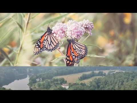 A Good Fantasy Audiobook Series - Book 7 - Full