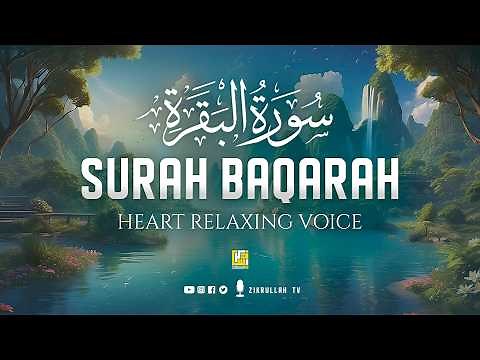 Surah Al-Baqarah Full (سورة البقرة) | Ultimate Most Beautiful Heart Melting Quran #baqarah