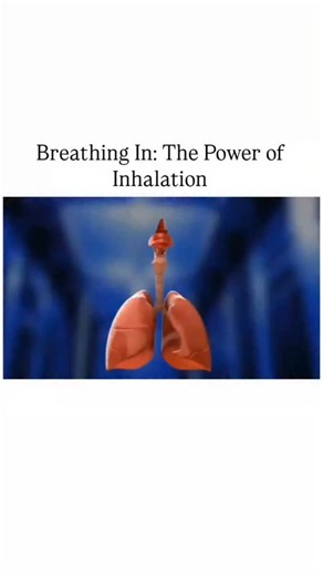 Science on Instagram: "Inhalation is the process of drawing air into the lungs, allowing oxygen to enter the body and fuel vital functions. It begins when the diaphragm contracts and moves downward, creating space in the chest cavity for the lungs to expand and fill with fresh air. . . . #Inhale #Inhalation #Breathing #BreathIn #Respiration #OxygenFlow #HealthyBreathing #BreathingProcess #LungHealth #BreatheDeep #MindfulBreathing #BreathingExercise #WellnessBreathing #AirIntake #DiaphragmBreathi