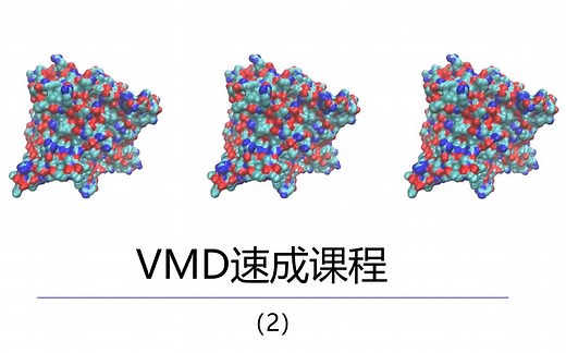 VMD教程-如何从蛋白质数据库中获取蛋白质PDB文件（中英双字）-2