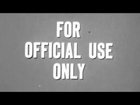 Sky soldiers- 173 airborne brigade vietnam.