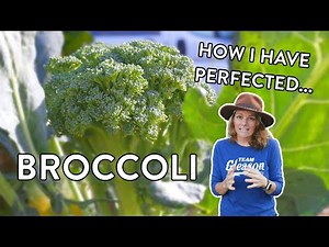 How to Grow Broccoli Like a Pro: Tips for Big, Healthy Harvests!