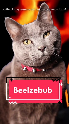 Meet Beelzebub: The Demon Receptionist