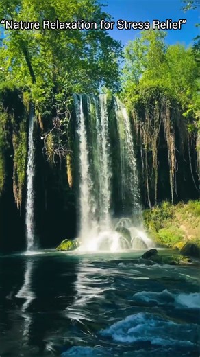 “Gentle Waterfall & Birds Sounds for Relaxation & Meditation 🌿💧”
