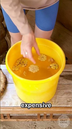 Indoor Plant Tips Always Look Easier Than the Watering Part