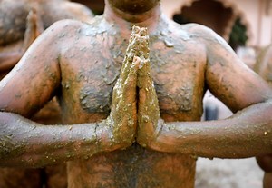 Indian doctors warn against cow dung as COVID cure