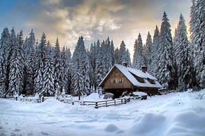 18K views · 2.7K reactions | Slovenian landscapes are also beautiful in winter! In the cold months of the year, unspoilt nature and vast green meadows turn into a winter fairy tale. Explore it on skis! ❄️ The most beautiful cross-country skiing trails in Slovenia: bit.ly/2gxxTtF #ifeelsLOVEnia Photos: Matjaž Vidmar, Tomo Jeseničnik, Ana Pogačar, Mojca Odar, Matej Vranič (www.slovenia.info) | Feel Slovenia | Facebook