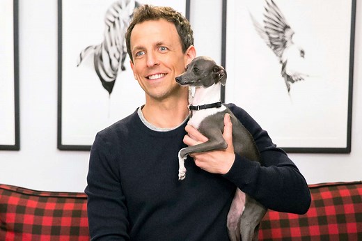 Seth Meyers mourns death of dog Frisbee: 'Thanks for 14 amazing years'