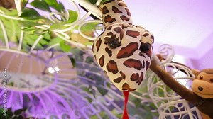 safari themed birthday with lots of snake stuffed animals