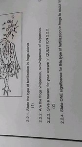 2.2.1. State the type of fertilization in frogs above2.2.2. A... | Filo