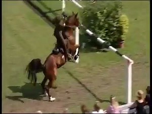 11M views · 122K reactions | What an amazing horse! | Horses Are Amazing | Facebook