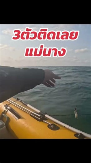 #fishing #travel #beach #sea #boat #angler #ตกปลา #ท่องเที่ยว #ทะเล #ตกหมึก #เรือยาง #luckycatangler