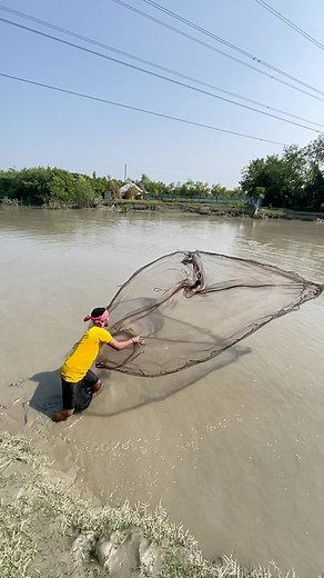 Amazing castnet fishing in river side #fishing #CastNetFishing #riverfishing #Amazing #fishinglife #bigfish #fblifestyle #rells #castnet | BD fishing world
