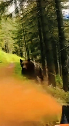 When hiking in bear-infested areas, be sure to bring bear spray.