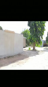 5.5K reactions · 13 shares | #smilecontroller | Jafari Saidy | Facebook