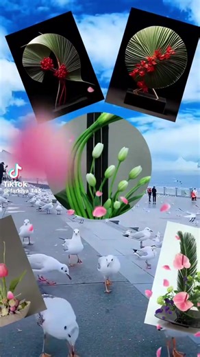 Queen Cape Town Cali (@queencapetown)’s videos with original sound - Queen Cape Town Cali