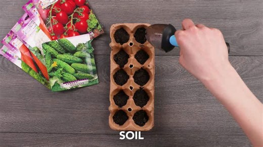 Les fleurs éclosent, astuces pour le jardin au printemps