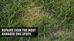 Scotts EZ Seed Dog Spot Repair Sun and Shade, Combination Mulch, Grass Seed Mix and Soil Amendment to Neutralize and Repair Pet Spots, 2 lbs.