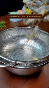 39K views · 291 reactions | Easy & quick mud snails recipe in China have you ever seen it before #healthyrecipes #snail #chinesefood #cooking #foodlover | Street Food The World | Facebook