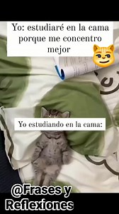 Bonita manera de estudiar... 🤣🤣 Frases y Reflexiones | Frases y Reflexiones