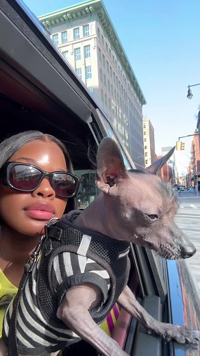 Unstoppable Vibes: Embrace Your Weirdness