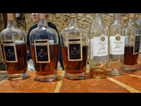 Visiting Armagnac and wine producer Domaine de Joÿ in Panjas, France