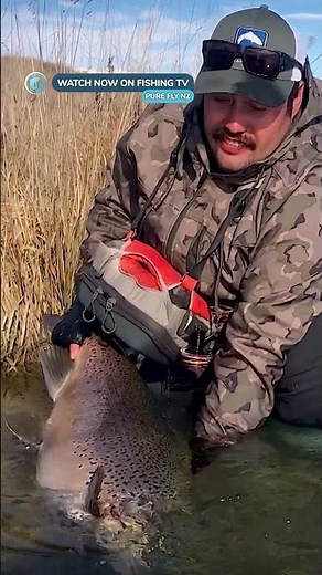 Absolute MONSTER Brown Trout - ‘Pure Fly NZ’ on Fishing TV!